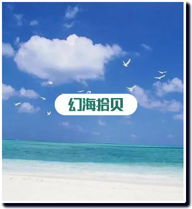 幻海拾贝